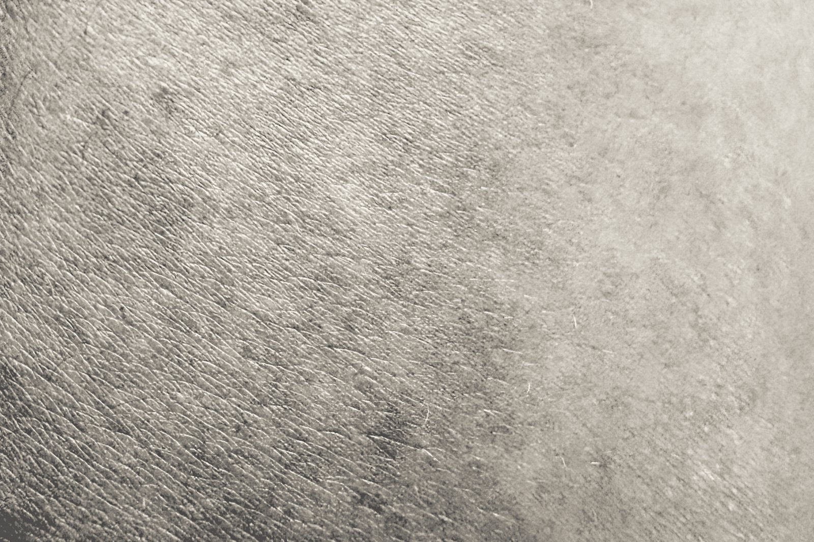 Peau humaine en gros plan, photographie monochrome